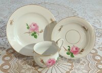 Meissen Dekor "Rose Mitte bunt und Goldrand" / "Moosrosen Malerei 1, bunt mit Goldrand" 1.Wahl