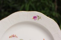 KPM Berlin Mokkatasse mit Blumen und Insektenmalerei 1.Wahl