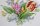 Seltenes Wandbild von Meissen handbemalt "Blumenstrauß mit Tulpen" 1. Wahl top Zustand