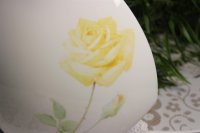 Meissen Vase Rosenmalerei "Rosen - Edition" Limitiert 1 / 50 mit Sondersignet und Zertifikat