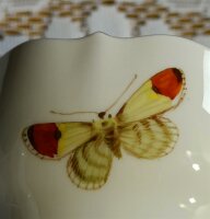Kaffeegedeck mit Kuchenteller im Dekor „natürliche Blumenmalerei mit Schmetterling und Goldrand 1.Wahl