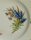 Meissen Mokkagedeck mit Biskuit und Kuchenteller im Dekor „natürliche Blumenmalerei mit Schmetterling und Goldrand 1.Wahl