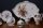 Limitierte Meisterwerke von Meissen "Dejeuner Jahreszeiten" Limitiert auf 15 Stück