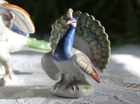 Pfau mit aufgestellten Federn 2